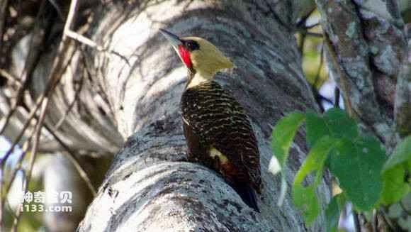 2023062214641892.jpg 91475cfb828ba61ee64b37da4a34970a314e5915_九雷图片转换器.jpg