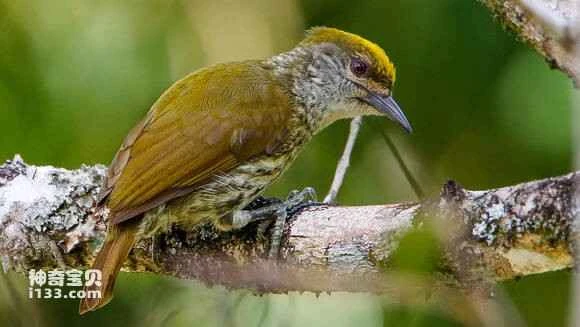 2023070912774064.jpg 8b6af82ad40735faa984815995510fb30e240849_九雷图片转换器.jpg