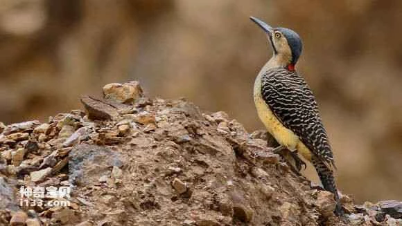 2023070611761581.jpg 16a1ba38b6003af37206929c3e2ac65c1138b605_九雷图片转换器.jpg