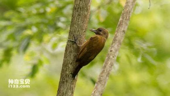 2023053019505517.jpg a5478adce71190ef3e780e97c51b9d16fcfa606e_九雷图片转换器.jpg