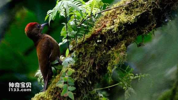 2023053065572505.jpg 5382ed035aafa40fe45c5295a064034f79f01957_九雷图片转换器.jpg