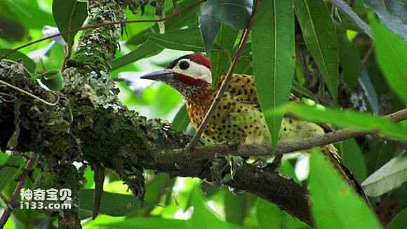 2023070644814931.jpg 567b2437acaf2edd70377713861001e93b0193fd_九雷图片转换器.jpg