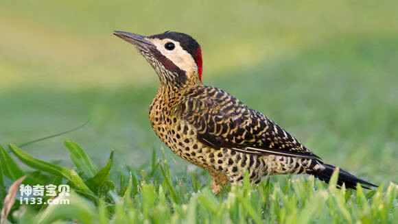 2023070615078935.jpg 28883e3c269759eebacb4631b9fb43166c22df20_九雷图片转换器.jpg