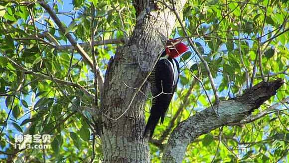 2023070710891484.jpg d06d55282df5e0fe6cccb6ff576034a85cdf72ef_九雷图片转换器.jpg