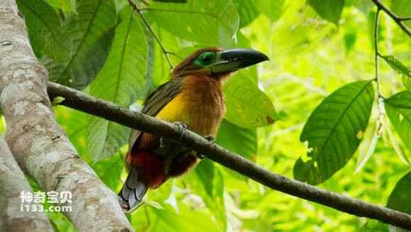 2023052520232145.jpg f12aa3be6c81800a06004f28ba3533fa838b47a6_九雷图片转换器.jpg