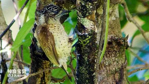 2023070919798028.jpg 1a815586e950352adda8bbe95843fbf2b0118bfd_九雷图片转换器.jpg