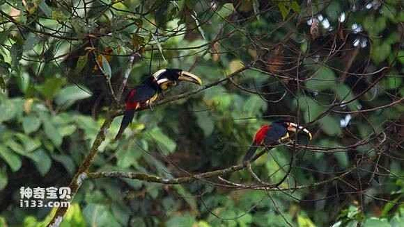 2023052315248784.jpg 987c14ed54e736d136c8762c90504fc2d46269aa_九雷图片转换器.jpg