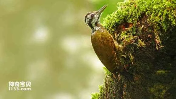 2023052856195828.jpg bd6492fbaf51f3ded46e147d9feef01f3b2979ba_九雷图片转换器.jpg