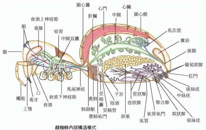 2024090258517276.jpeg 8e42f5368256d118b000f0144c1e7eea.jpeg