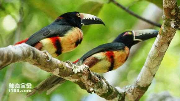 2023052343928556.jpg f12aa3be6c81800a5c5f712aba3533fa838b47cb_九雷图片转换器.jpg