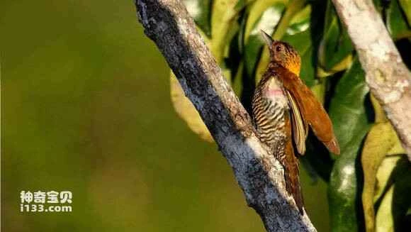 2023053184587091.jpg c6bf14889e510fb35f19bfdad233c895d0430cea_九雷图片转换器.jpg