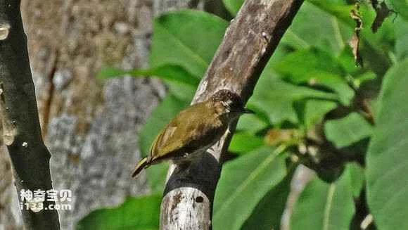 2023071210133071.jpg 2a27dc18ebc4b745126691f4c4fc1e17888215d0_九雷图片转换器.jpg