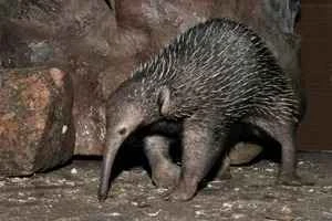 2023112532363196.jpeg 3.jpeg