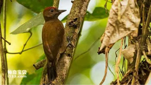 2023053019669924.jpg 055fbb2b2834349b11e9f2cdc2ea15ce37d3be7a_九雷图片转换器.jpg