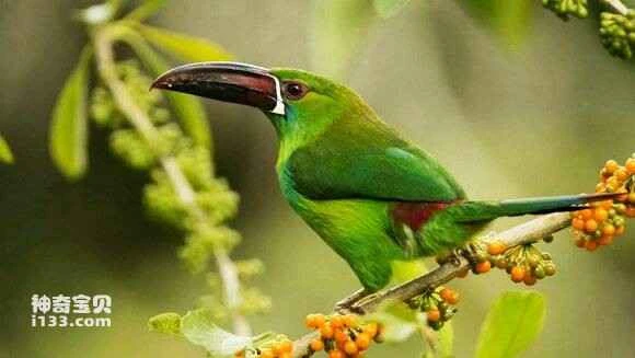 2023052258358474.jpg 5382ed035aafa40f6ec2c8fea064034f78f0197b_九雷图片转换器.jpg