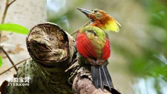 2023060334189404.jpg b8501d0f0cf3d7ca4f927efaf91fbe096a63a94d_九雷图片转换器.jpg