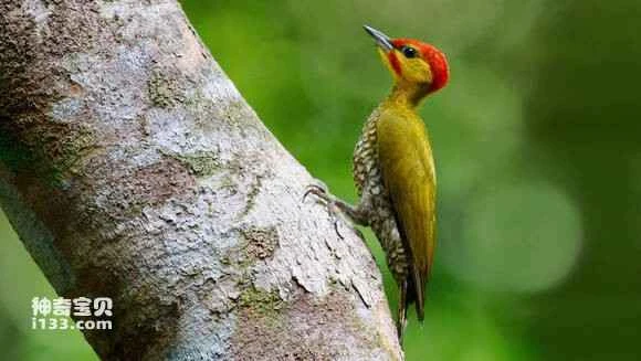 2023070517609153.jpg f1611cf182025aafb7a80f3df0edab64024f1a24_九雷图片转换器.jpg