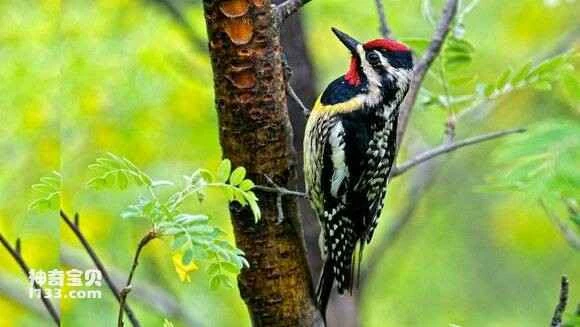 2023052765788675.jpg ee69f217fdfaaf51eb206b90875494eef11f7a55_九雷图片转换器.jpg