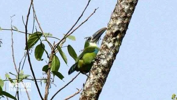 2023052233934892.jpg 477ba63c70cf3bc76d9ecdcfda00baa1cc112aee_九雷图片转换器.jpg