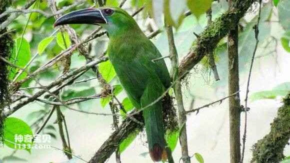 2023052211050999.jpg 866cc7d2fd1f4134bd57c15c2e1f95cad1c85e27_九雷图片转换器.jpg