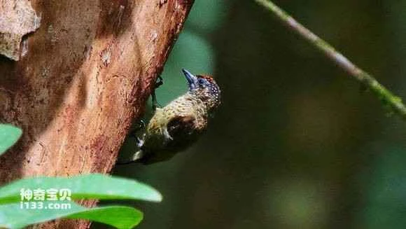 2023070955178006.jpg 749559d02f2eb938a492e413de628535e7dd6fc3_九雷图片转换器.jpg