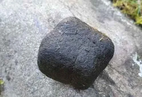 2024090412374384.png 微信截图_20240904112100.png