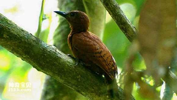 2023060319166094.jpg 6762d613c8fcc3ced63ee0b59945d688d53f2028_九雷图片转换器.jpg