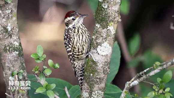 2023053198109439.jpg 1af58651352ac65ce30d873cf0f2b21192138aed_九雷图片转换器.jpg