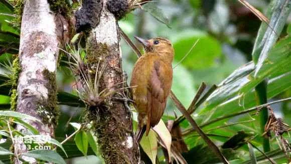 2023053014187839.jpg b09d19c7a7efce1bd6a85482a451f3deb58f656e_九雷图片转换器.jpg