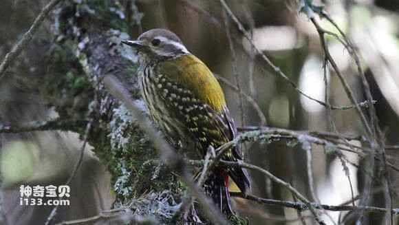 2023052785941108.jpg 5b9e3be636d12f2eb798407144c2d562843568f1_九雷图片转换器.jpg