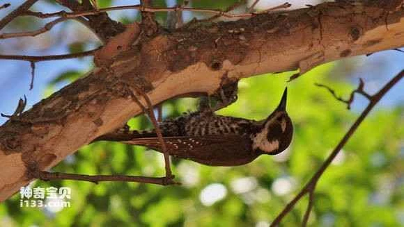 2023053096047335.jpg ac26fbeff01f3a296bc657869225bc315d607cdb_九雷图片转换器.jpg