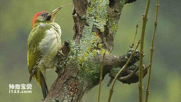 2023061071468108.jpg 14e96c3a5bb5c9eae41ffb6fde39b60038f3b3c6_九雷图片转换器.jpg