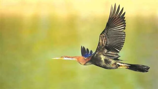 1a8d2c7358a99c7efe3b725e2c80f668 (2).jpeg