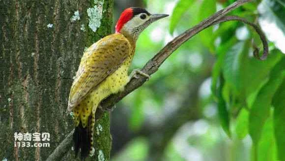 2023070623468505.jpg f6fabb3e8794a4c250a3d9d105f41bd5ac6e393e_九雷图片转换器.jpg