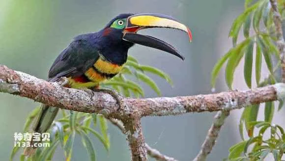 2023052316179923.jpg d744c0c279310a5597f2d6d7bc4543a9832610b5_九雷图片转换器.jpg