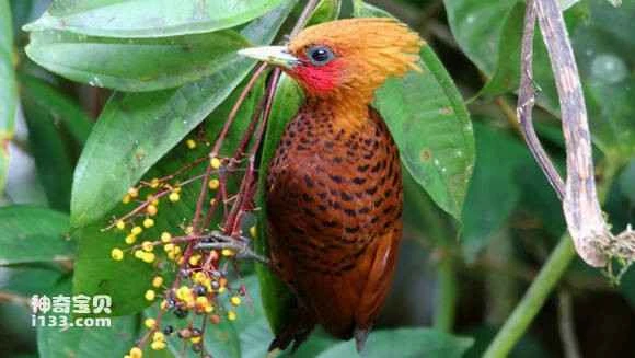 2023062287942661.jpg 6a9f41728bd4b31c3f2a604e8cd6277f9f2ff8a1_九雷图片转换器.jpg