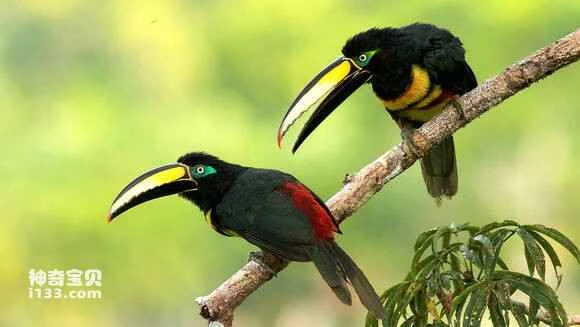 2023052384167925.jpg 16a1ba38b6003af3bd64d5433e2ac65c1138b6ae_九雷图片转换器.jpg