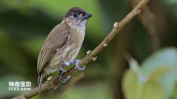 2023071220868706.jpg f4584735349b033bf3badd381ece36d3d439bd91_九雷图片转换器.jpg