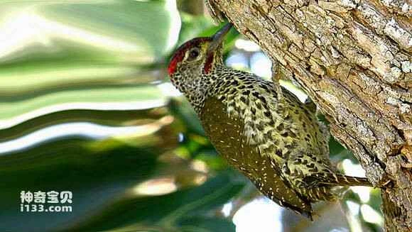 2023060157297200.jpg a1b956dab6fd526620735aa9a018972bd50736a2_九雷图片转换器.jpg