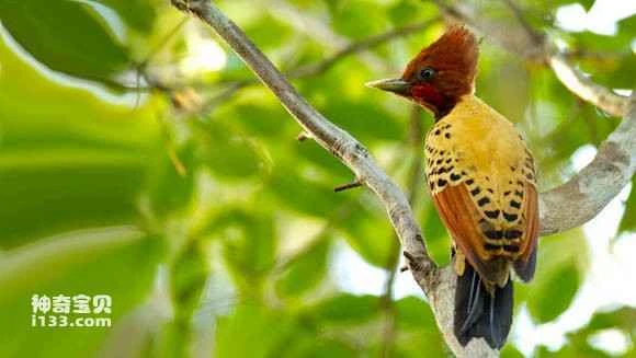 2023070511694409.jpg a7a4487e9e2f070886c1cef5e224b899ab01f2f7_九雷图片转换器.jpg