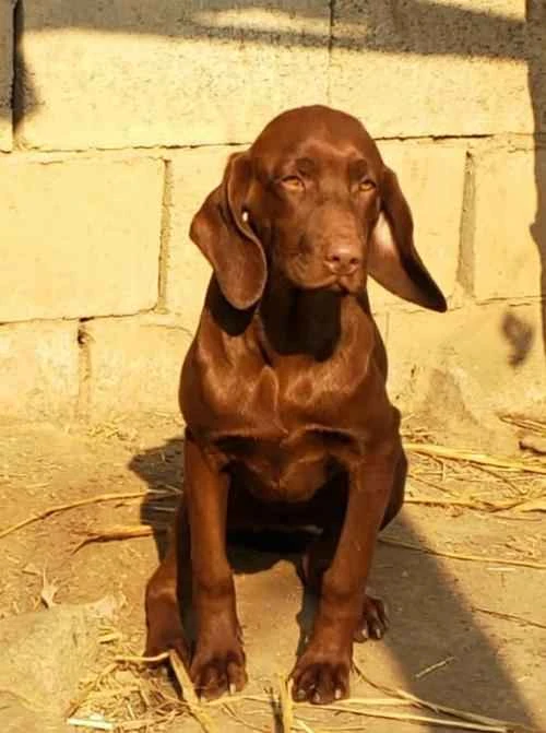 2024090919155966.jpeg 998081d207084cb92104c6737967404a.jpeg