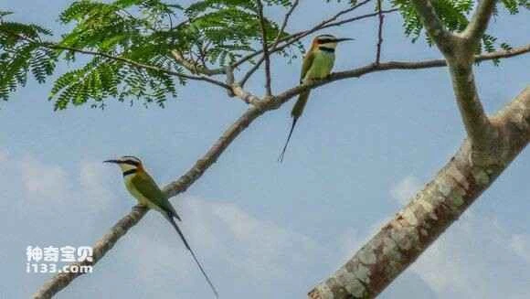 2023042160143921.jpg 1a815586e950352ae09cb1d45943fbf2b0118be4_九雷图片转换器.jpg