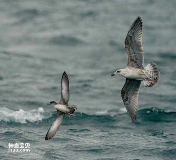 2023031153254417.jpg 2e2eb9389b504fc2d562ba94c88bf01190ef76c6c75e_九雷图片转换器.jpg