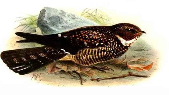 2023041818611687.jpg 08465b9a033b5bb59dd07e2c3fd3d539b700bc54_九雷图片转换器.jpg