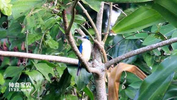 2023042819182402.jpg 52f92811b912c8fce299cebef1039245d78821c9_九雷图片转换器.jpg