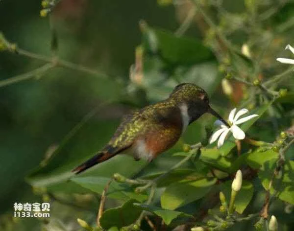 2023032468679197.jpg 94c06939642abd66dd0aee6e16f1ad3b_九雷图片转换器.jpg