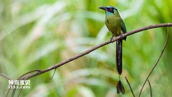 2023042383403636.jpg 9ad3a210728b47102fef502bc8cec3fdfe03238c_九雷图片转换器.jpg