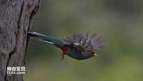 2023041015808889.jpg c9225a2bc65c1038f358d23fb8119313b17e8998_九雷图片转换器.jpg