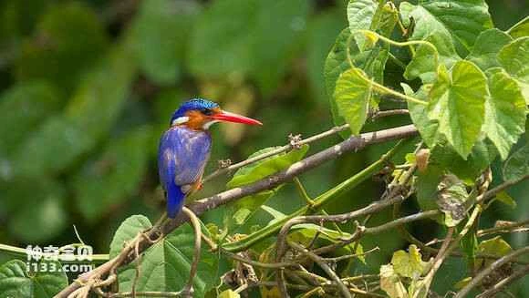 2023043021091878.jpg be2360b20f2442a72b5693cedc43ad4bd01302f0_九雷图片转换器.jpg