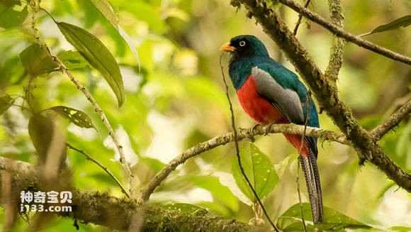 2023041082948290.jpg 98ebc6004c086e06340a54b608087bf40bd1cb24_九雷图片转换器.jpg